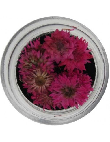 Fiori Secchi Colorati - NATURAL DRIED FLOWER - 5523-427