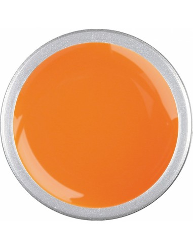Gel Colorato Neon Orange  5 / 15 gr